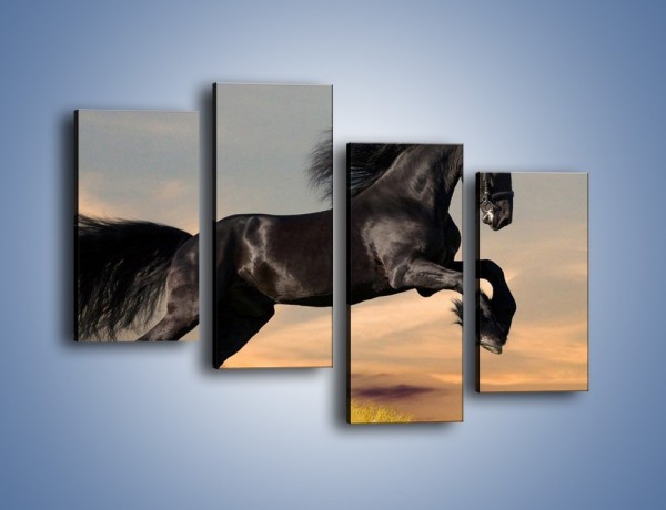Obraz na płótnie – Czarny koń w galopie – czteroczęściowy Z008W2