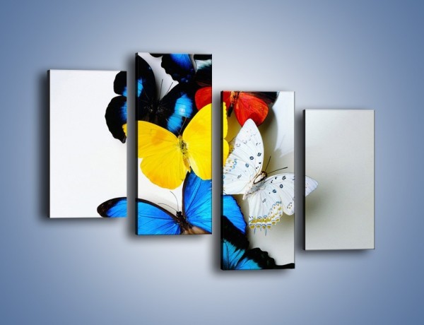 Obraz na płótnie – Kompozycja kolorowych motyli – czteroczęściowy Z009W2