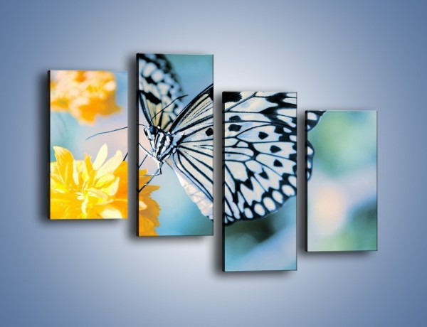 Obraz na płótnie – Motyw zebry w motylu – czteroczęściowy Z010W2