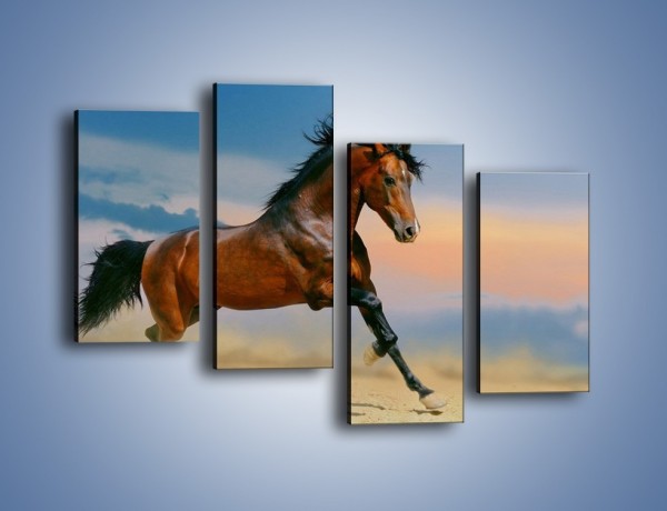 Obraz na płótnie – Brązowy koń na pustyni – czteroczęściowy Z011W2