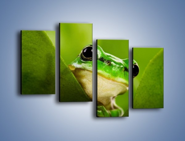 Obraz na płótnie – Zielony świat żabki – czteroczęściowy Z014W2