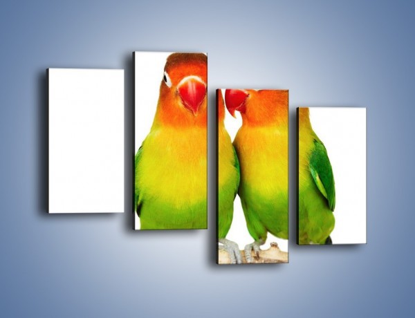 Obraz na płótnie – Sekrety uśmiechniętych papug – czteroczęściowy Z017W2