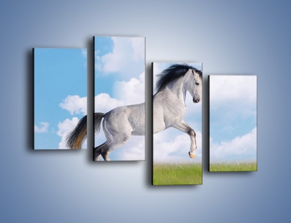 Obraz na płótnie – Białe obłoki i koń – czteroczęściowy Z019W2