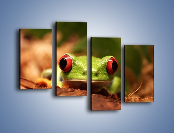 Obraz na płótnie – Bystre oczka małej żabki – czteroczęściowy Z023W2