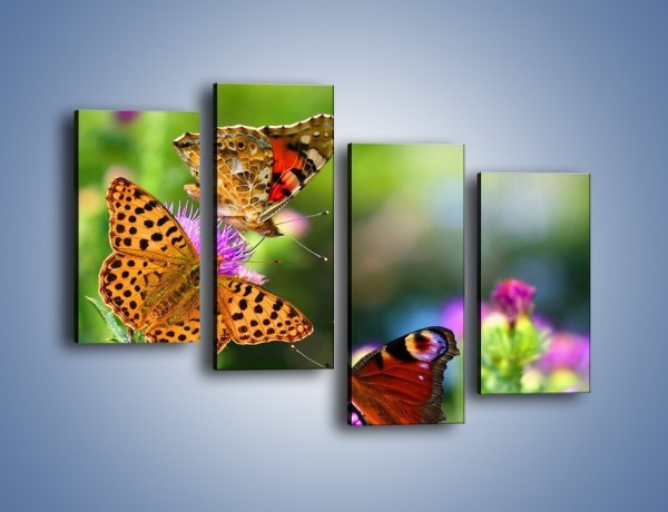Obraz na płótnie – Świat kolorowych motyli – czteroczęściowy Z053W2