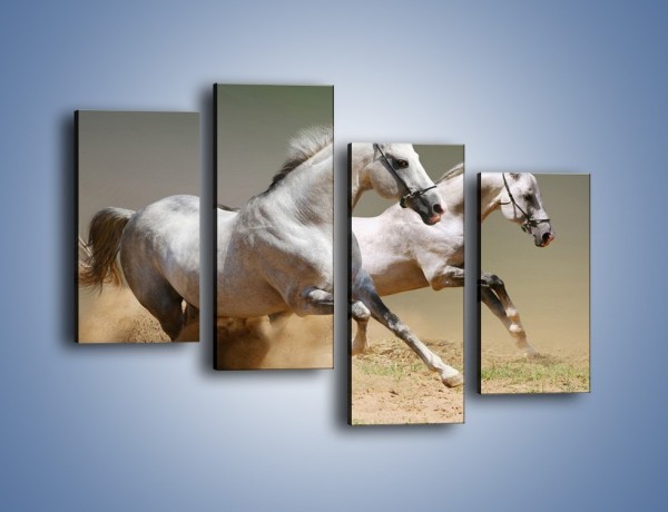 Obraz na płótnie – Białe konie w pustynnym galopie – czteroczęściowy Z055W2