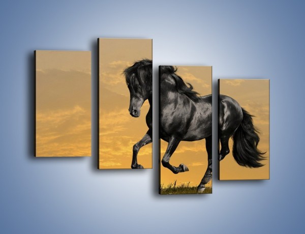 Obraz na płótnie – Bieg z koniem po polanie – czteroczęściowy Z057W2
