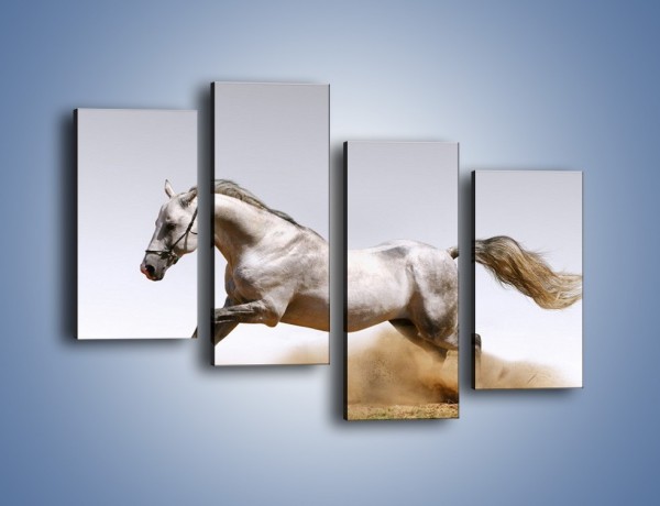 Obraz na płótnie – Srebrny koń w galopie – czteroczęściowy Z062W2
