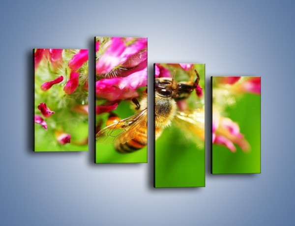 Obraz na płótnie – Pszczoły kochają kwiaty – czteroczęściowy Z065W2