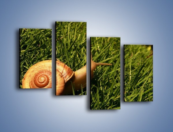 Obraz na płótnie – Z ślimakiem przez łąkę – czteroczęściowy Z103W2