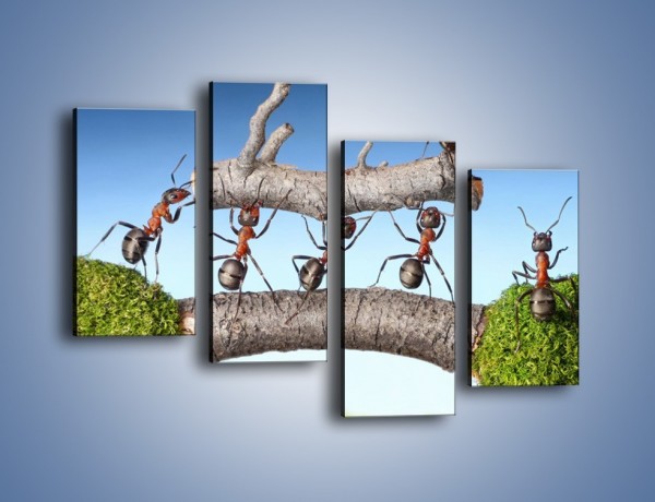Obraz na płótnie – Pracowite jak mróweczki – czteroczęściowy Z133W2