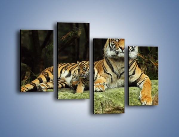 Obraz na płótnie – Tygrysia mamusia z maleństwem – czteroczęściowy Z138W2