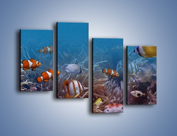 Obraz na płótnie – Ocean i jego kolorowi towarzysze – czteroczęściowy Z168W2