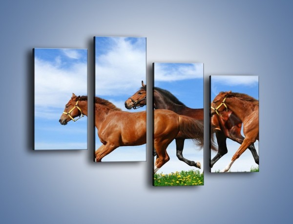 Obraz na płótnie – Galopujące stado brązowych koni – czteroczęściowy Z172W2