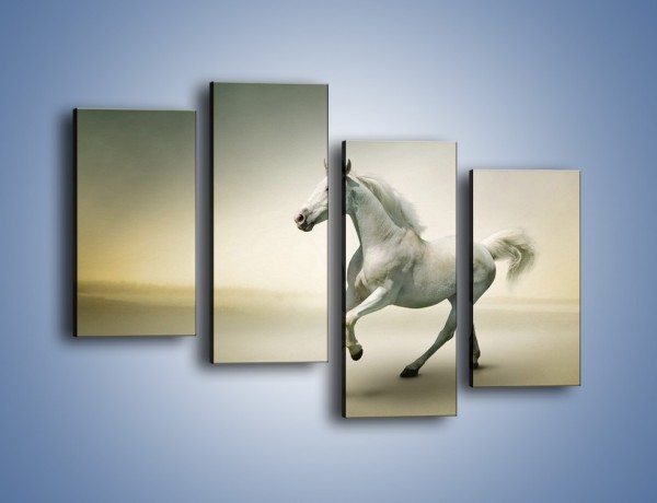 Obraz na płótnie – Samotny wieczór z białym koniem – czteroczęściowy Z175W2
