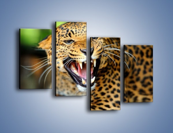 Obraz na płótnie – Jaguar z pazurem – czteroczęściowy Z184W2