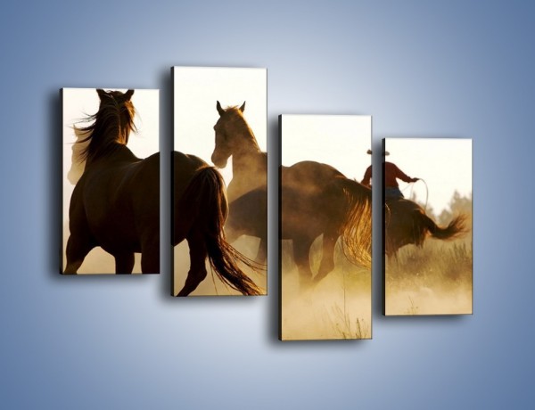 Obraz na płótnie – Cowboy wśród koni – czteroczęściowy Z206W2