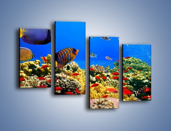 Obraz na płótnie – Kolory tęczy pod wodą – czteroczęściowy Z220W2