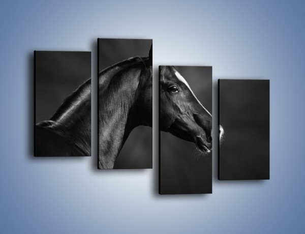 Obraz na płótnie – Zadumane spojrzenie konia – czteroczęściowy Z238W2