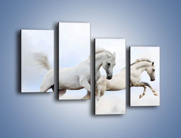 Obraz na płótnie – Białe konie i biały śnieg – czteroczęściowy Z239W2