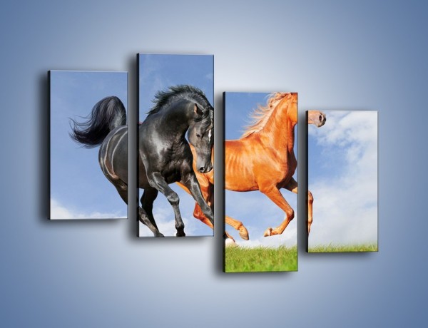 Obraz na płótnie – Czarny rudy i koń – czteroczęściowy Z241W2