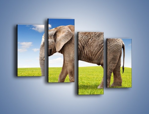 Obraz na płótnie – Odbicie słonia w wodnym lustrze – czteroczęściowy Z245W2