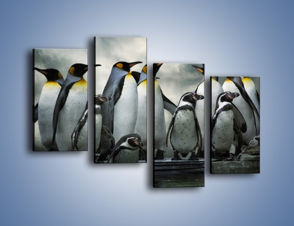 Obraz na płótnie – Pingwinki z madagaskaru – czteroczęściowy Z247W2