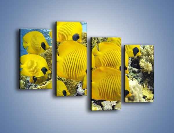 Obraz na płótnie – Słoneczne ryby w oceanie – czteroczęściowy Z252W2