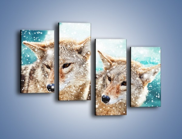 Obraz na płótnie – Zaciekawione wilki w płatkach śniegu – czteroczęściowy Z257W2