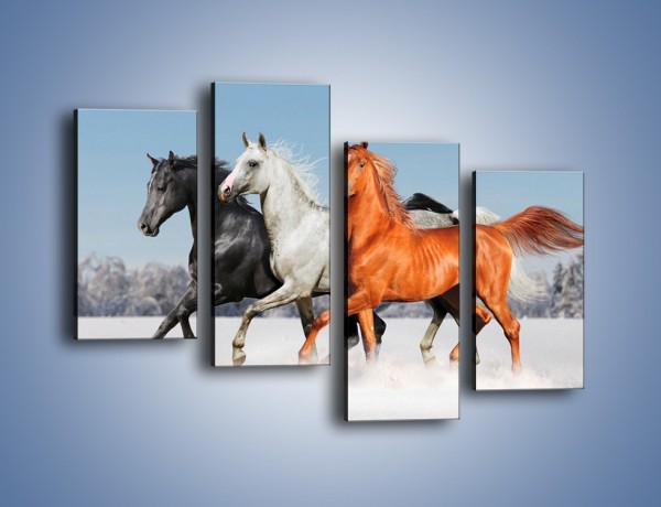 Obraz na płótnie – Konie w kolorach – czteroczęściowy Z261W2