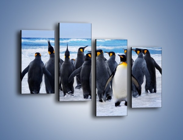 Obraz na płótnie – Narada pingwiniej rodziny – czteroczęściowy Z272W2