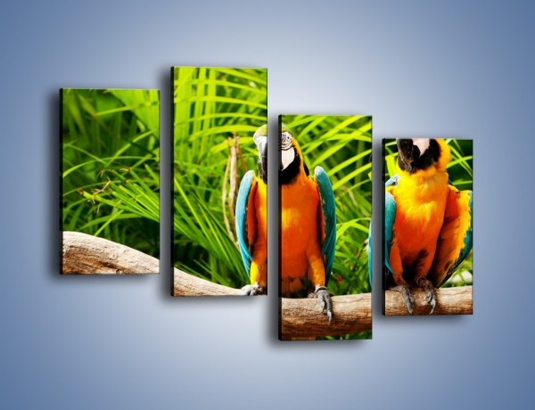 Obraz na płótnie – Papugi na tle paproci – czteroczęściowy Z278W2
