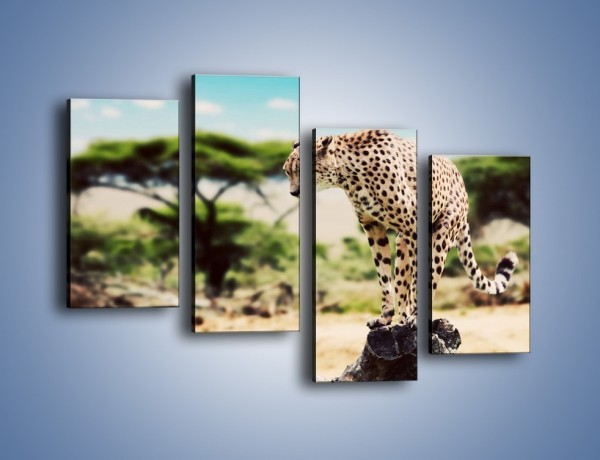 Obraz na płótnie – Cała zwinność geparda – czteroczęściowy Z315W2