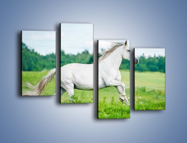Obraz na płótnie – Biały koń i leśna polana – czteroczęściowy Z317W2