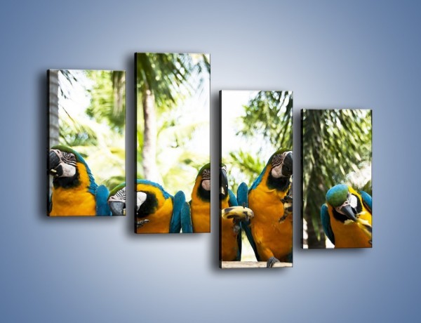 Obraz na płótnie – Piknik z papugami – czteroczęściowy Z322W2