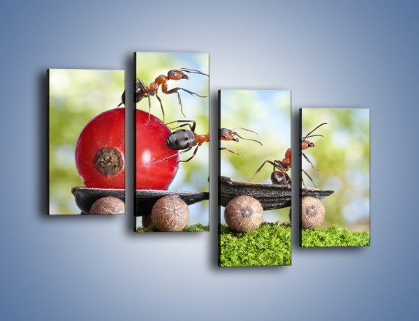 Obraz na płótnie – Mrówki i ich powóz – czteroczęściowy Z325W2