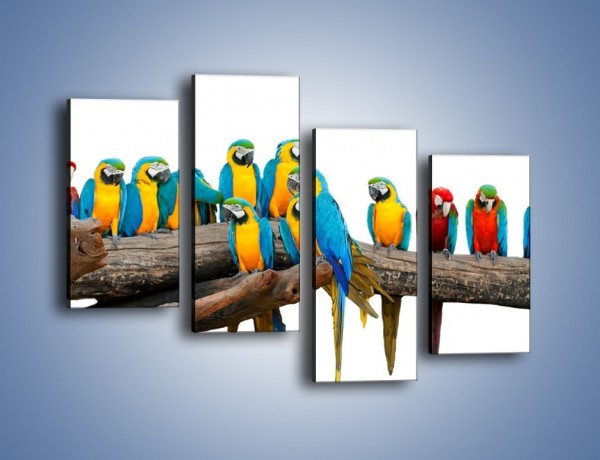 Obraz na płótnie – Kolorowe stado papug – czteroczęściowy Z326W2