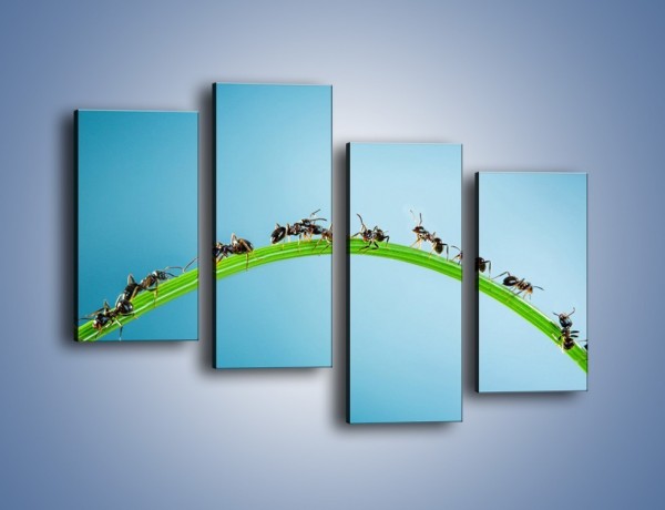 Obraz na płótnie – Mrówki na zielonym moście – czteroczęściowy Z336W2