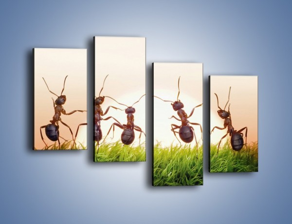 Obraz na płótnie – Taniec mrówek na trawie – czteroczęściowy Z338W2