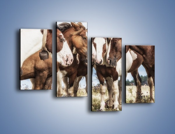 Obraz na płótnie – Narada koni na łące – czteroczęściowy Z341W2