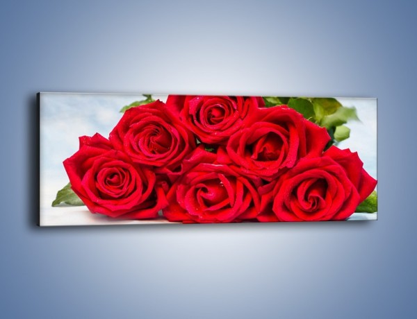 Obraz na płótnie – Czerwone róże bez kolców – jednoczęściowy panoramiczny K1021