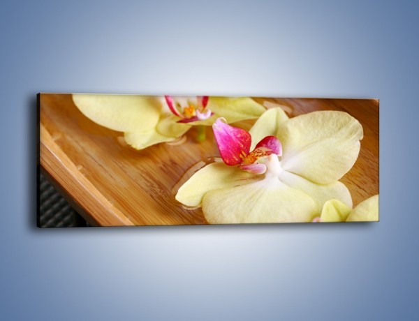 Obraz na płótnie – Drewniana łódeczka z kwiatami – jednoczęściowy panoramiczny K1024