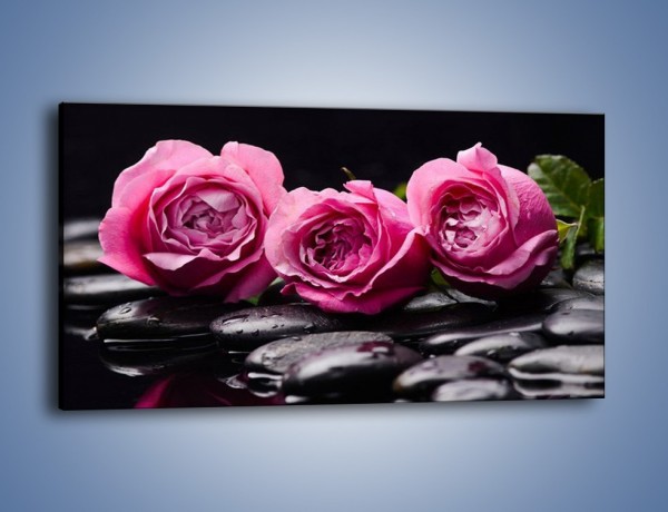 Obraz na płótnie – Malutkie różane trio – jednoczęściowy panoramiczny K1027