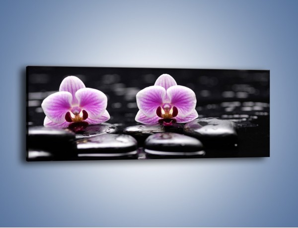 Obraz na płótnie – Duet kwiatowy i czarna woda – jednoczęściowy panoramiczny K1029