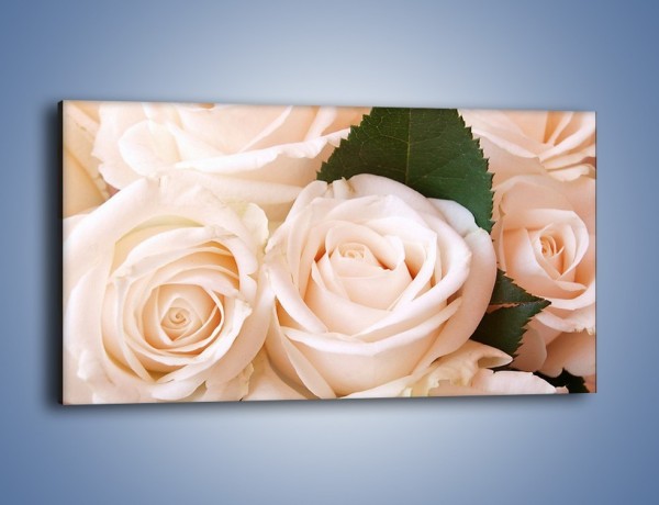 Obraz na płótnie – Liść wśród bezowych róż – jednoczęściowy panoramiczny K104