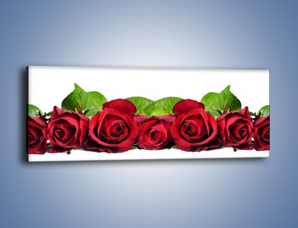 Obraz na płótnie – Pięknie ułożone róże – jednoczęściowy panoramiczny K108