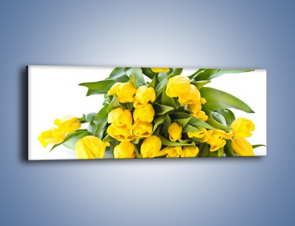 Obraz na płótnie – Piramida żółtych tulipanów – jednoczęściowy panoramiczny K111