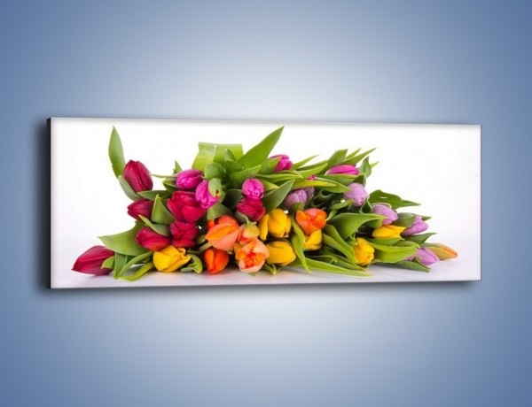 Obraz na płótnie – Kolorowe tulipany pełne luzu – jednoczęściowy panoramiczny K117