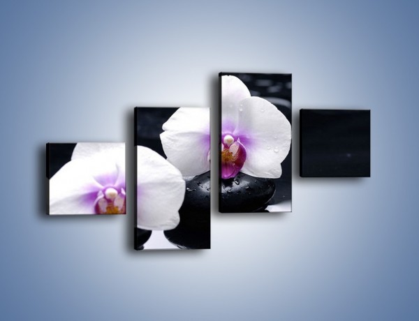 Obraz na płótnie – Główki białych storczyków – czteroczęściowy K024W3