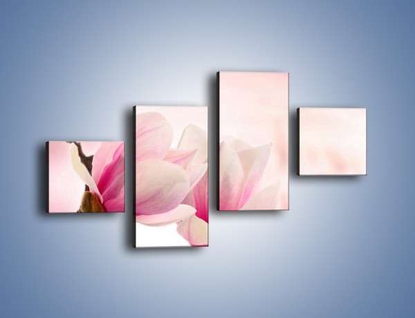 Obraz na płótnie – W pół rozwinięte biało-różowe magnolie – czteroczęściowy K033W3